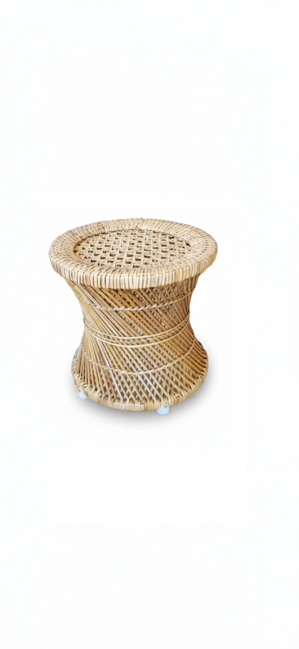 Echo Cane Moda